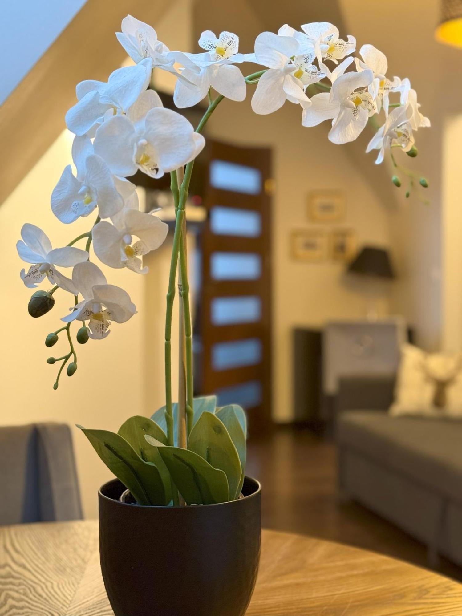 Glamour I Apartment *